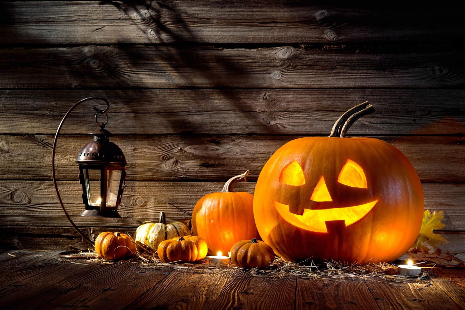 Ideas regalos personalizados para Halloween