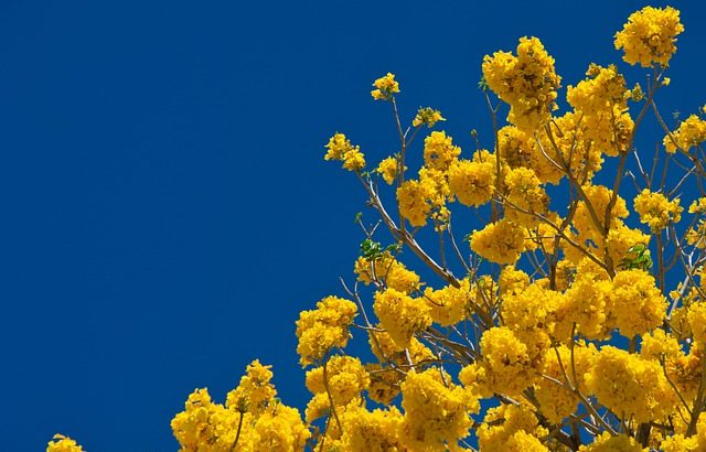 Regalos para darle la bienvenida a la primavera