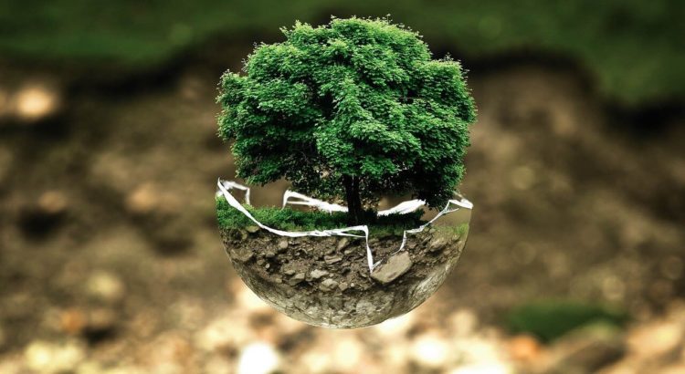 día mundial del medio ambiente