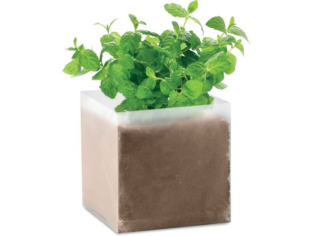 bolsa con semillas de menta