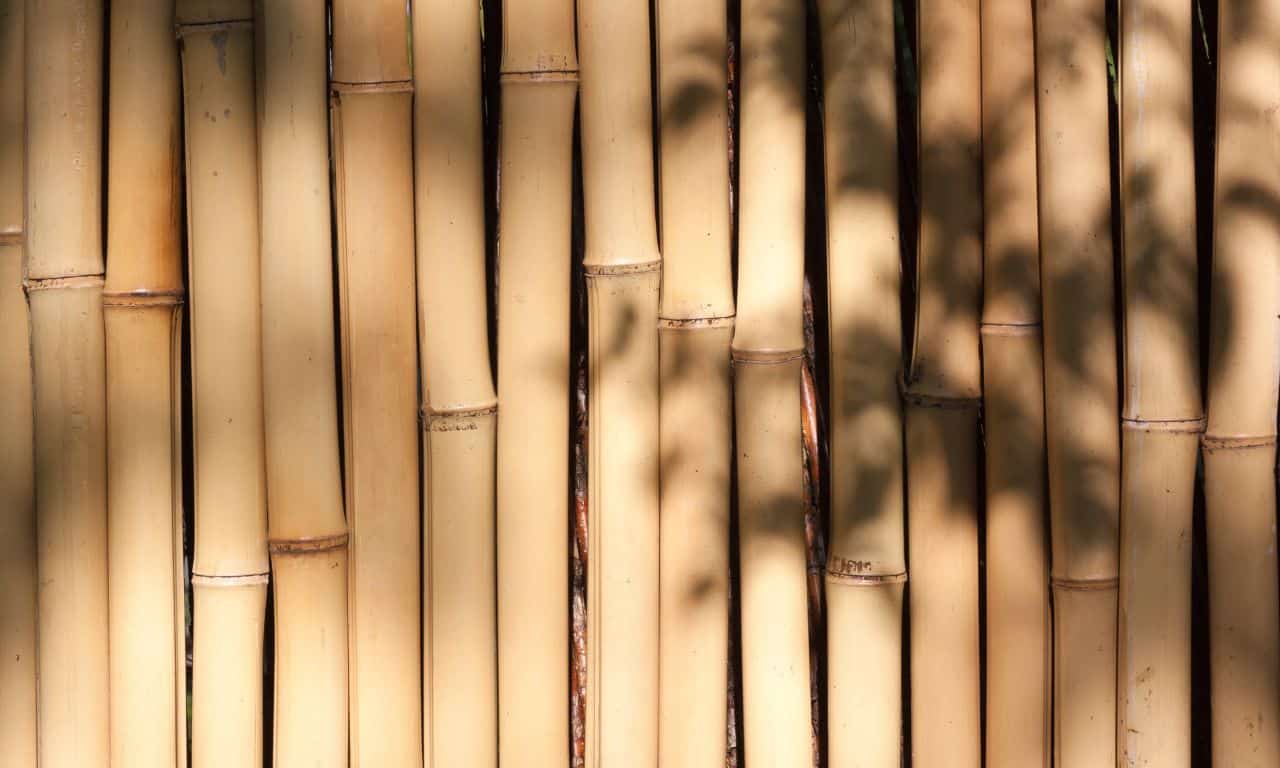 fibra de bambú