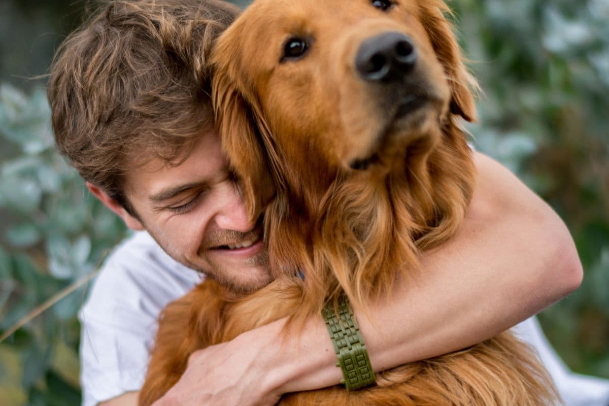 Día Mundial del Perro