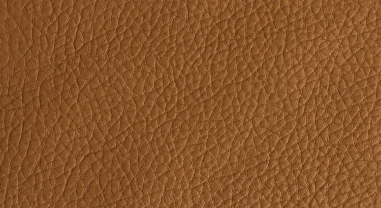 Polipiel