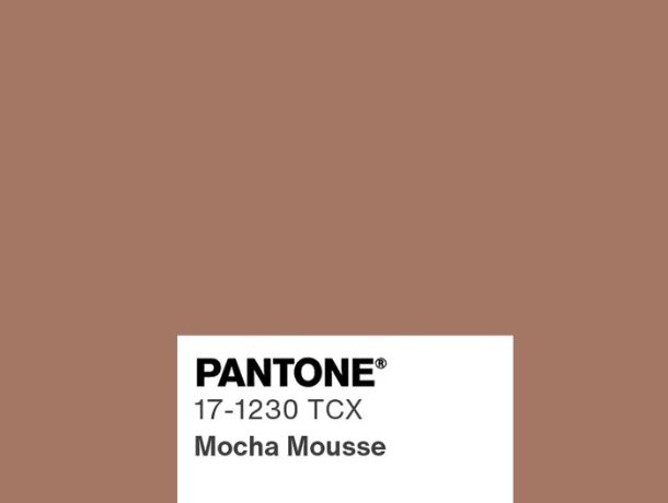Mocha mousse color del año 2025
