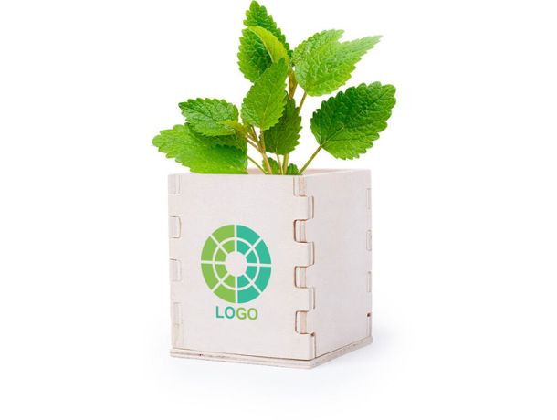 Plantas como regalos de merchandising para eventos