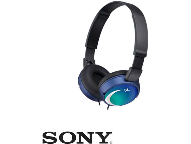 Sony MDR-ZX310 Auriculares Plegables Negro - Auriculares cable sin