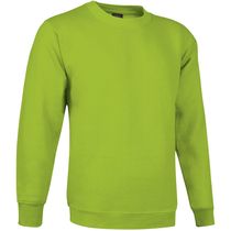 Sudadera clasica dublin 295 economica verde manzana Sudadera clasica dublin 295 economica verde manzana