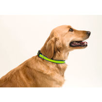 Collar reflectante y ajustable personalizado azul Collar reflectante y ajustable personalizado azul