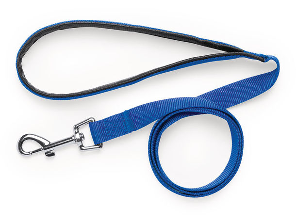 Cinta paseo personalizada Cinta paseo personalizada