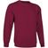 Sudadera clasica dublin 295 economica granate